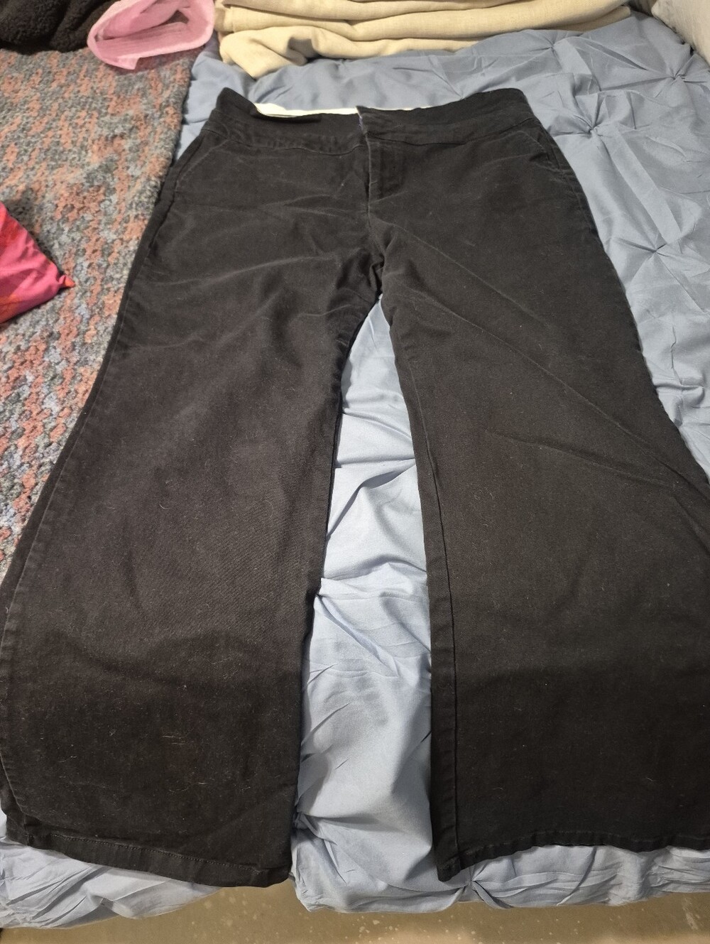 wild fable Black Women Pants with Green Brand Label